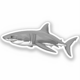 Pegatina Gran tiburón blanco