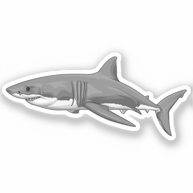 Pegatina Gran tiburón blanco (Anverso)