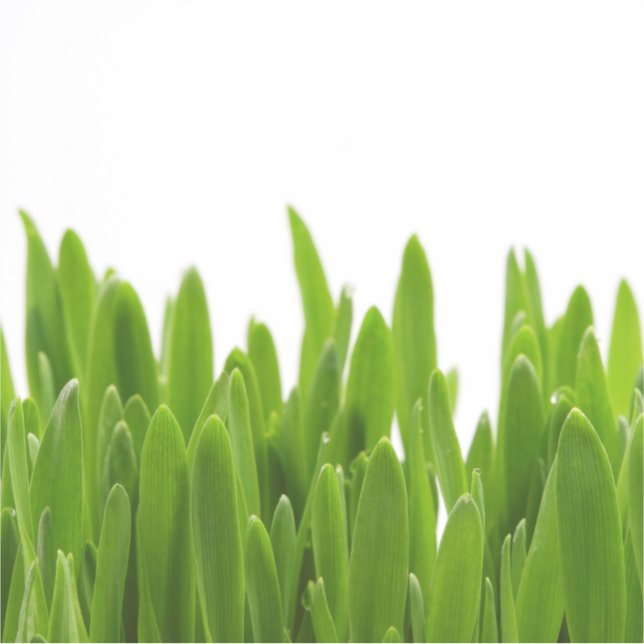Pegatina Grasa verde (Anverso)
