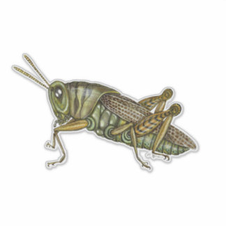 Pegatina Grasshopper verde