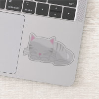 Gris lindo Tabby Kitten
