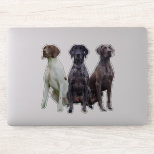 Pegatina (GSP) Sticker Deutsch Kurzhaar