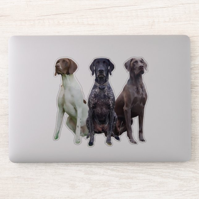 Pegatina (GSP) Sticker Deutsch Kurzhaar (Ordenador)