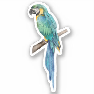 Pegatina Guacamayo Azul Loro Ave Tropical Naturaleza