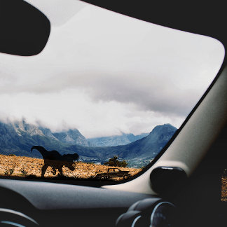 Pegatina Guay T-rex Dinosaur For Car Truck Window