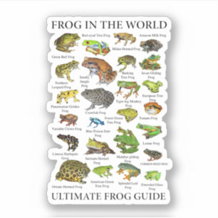 Pegatina Guía De Rana Finalizada Funny Frog Lover Frog Dueñ