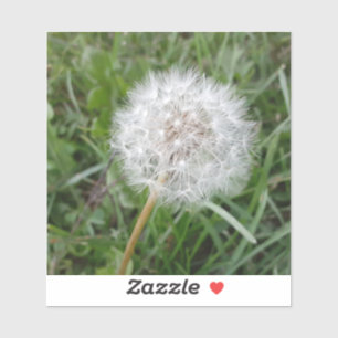 Pegatina Hacer un deseo