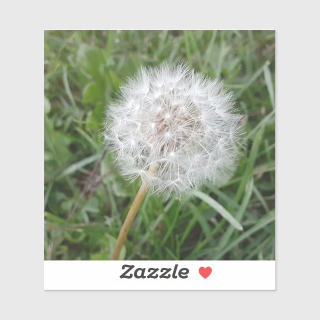 Pegatina Hacer un deseo (Hoja)