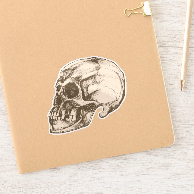 Pegatina Halloween Cranium Vinyl (Cuaderno)