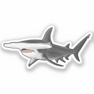 Pegatina Hammerhead Shark