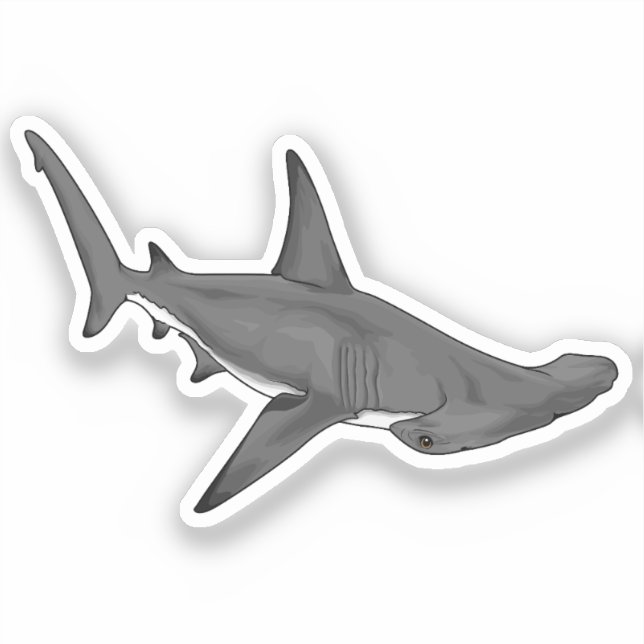 Pegatina Hammerhead Shark B (Anverso)