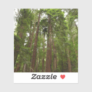 Pegatina Hasta Redwoods I en Muir Woods National Monument