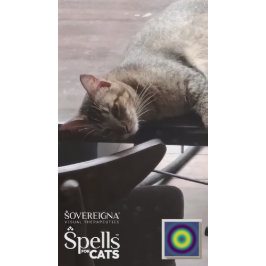 Pegatina Hechizos para Gatos: Gatito Tranquilo (Calmante)