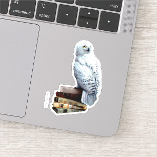 Pegatina Hedwig en libros