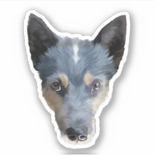 Pegatina Heeler azul / Perro de ganado australiano