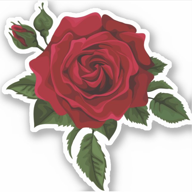 Pegatina Hermosa acuarela rosa rojo (Anverso)