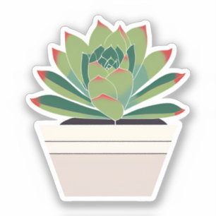 Pegatina Hermosa planta suculenta