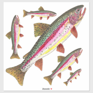 Pegatina Hermosa trucha arcoiris = 5 imágenes en la misma