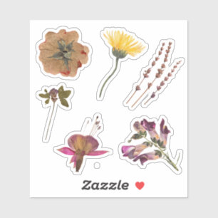 Pegatina Hermosas flores secas Naturaleza y arte Adorable