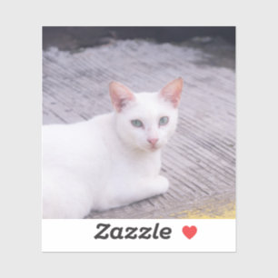 Pegatina Hermoso gato blanco