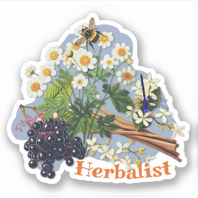 Pegatina Hierbas Medicinales Flores de Feverfew Bayas de Sa (Anverso)