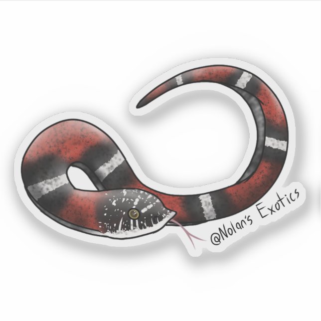 Pegatina Hognose tricolor (Anverso)