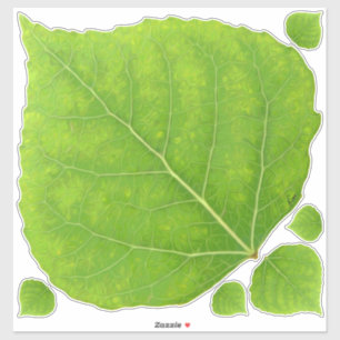 Pegatina Hoja verde de lápiz #11