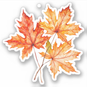 Pegatina Hojas de árbol de arce acuarela
