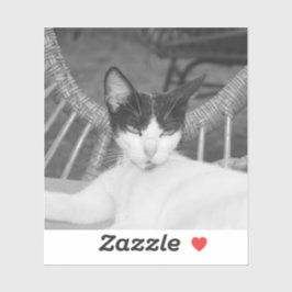 Pegatina Hola, Meow...