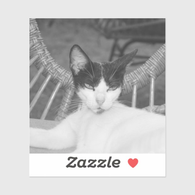 Pegatina Hola, Meow...