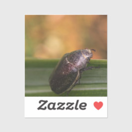 Pegatina ¡Hola Mundo!