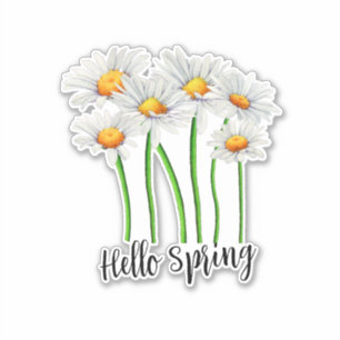 Pegatina Hola primavera, diseño de flores de margarita