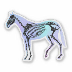 Pegatina Holográfico Horse Skeleton Equine Anatomy Vet Tech