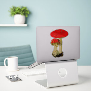 Pegatina Hongos