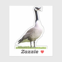 Honor de ganso de Canadá