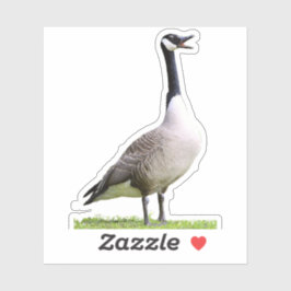 Pegatina Honor de ganso de Canadá