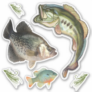 Pegatina Hooks De Gill Azul De Foco De Pesca