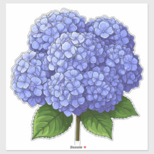 Pegatina 🌸 Hortensia Azul Cluster Floral Jardín 🌸