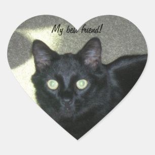 Pegatina (hrt) - Mi mejor amigo