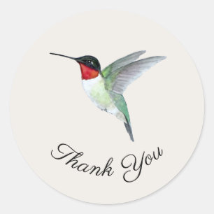 Pegatina Hummingbird