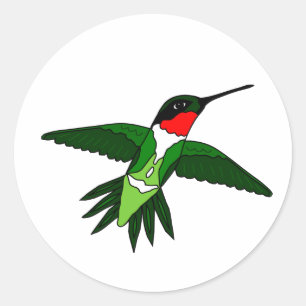 Pegatina Hummingbird