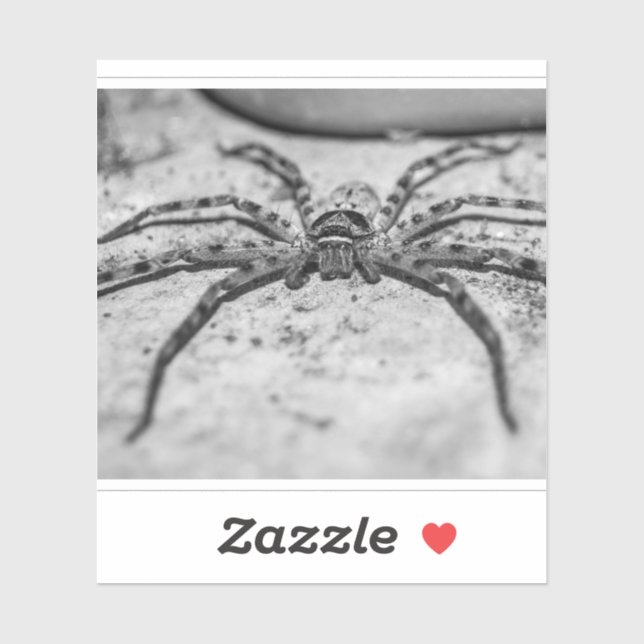 Pegatina Huntsman Spider (Hoja)