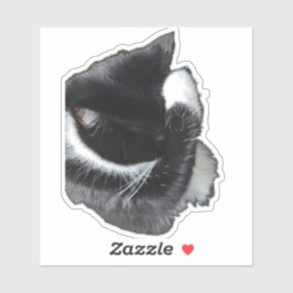 Pegatina I Can't Even Right Meow