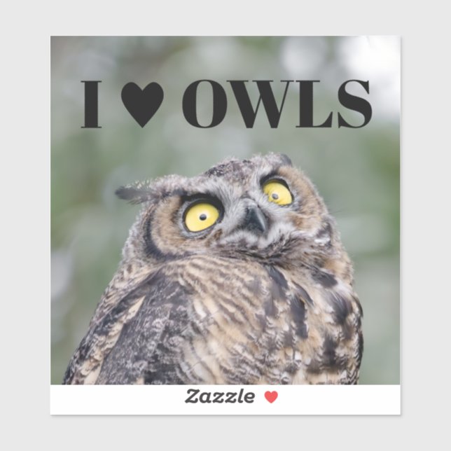 Pegatina I Love Owls Sticker (Hoja)