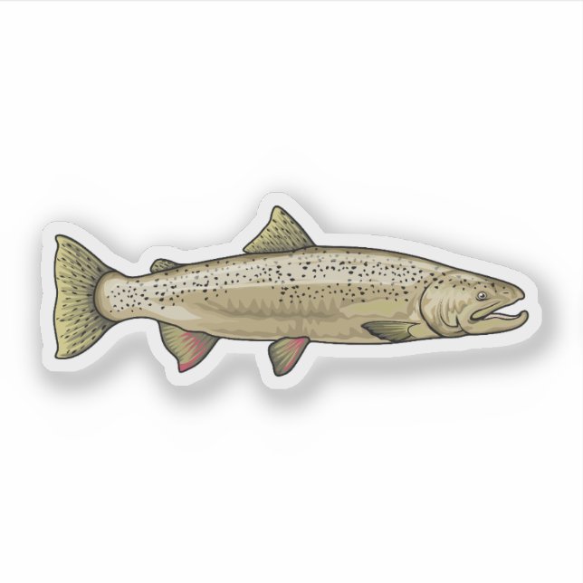 Pegatina Ilustracion atlántico de salmón (Anverso)