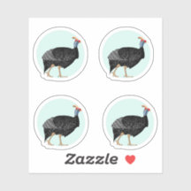 Ilustracion de aves de Guinea