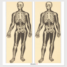 Ilustracion de esqueleto vintage de edad avanzada