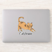 Ilustración de persona de gato