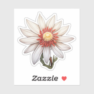 Pegatina ilustracion floral personalizado