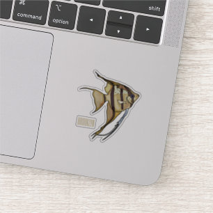 Pegatina Ilustracion personalizado de Angelfish